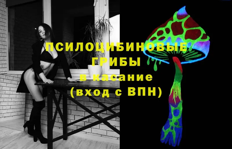 Галлюциногенные грибы Magic Shrooms  Старая Купавна 